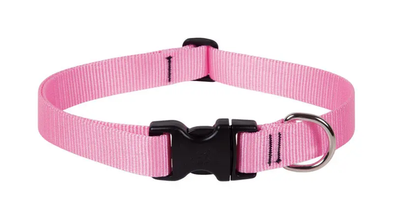LupinePet Basic Solids Pink Pink Nylon Dog Adjustable Collar - Open Box