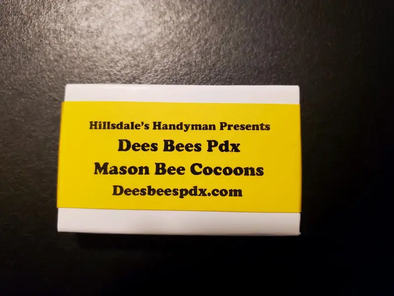 Mason Bees