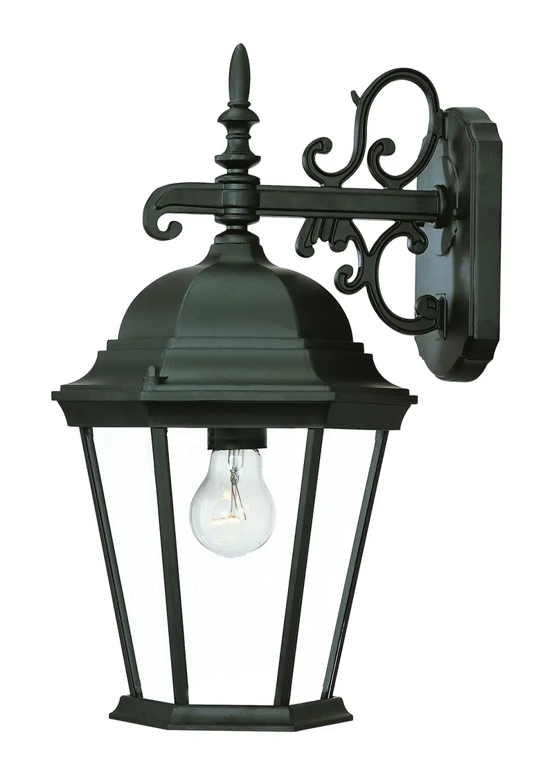 Matte Black Domed Glass Hanging Lantern Wall Light By Homeroots