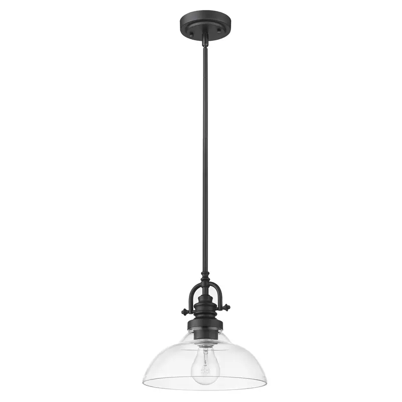 Matte Black Hanging Light with Glass Dome Shade By Homeroots