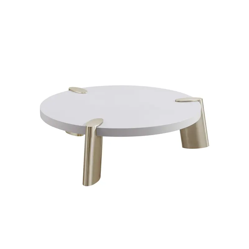 Matte White Finish Coffee Table By Homeroots