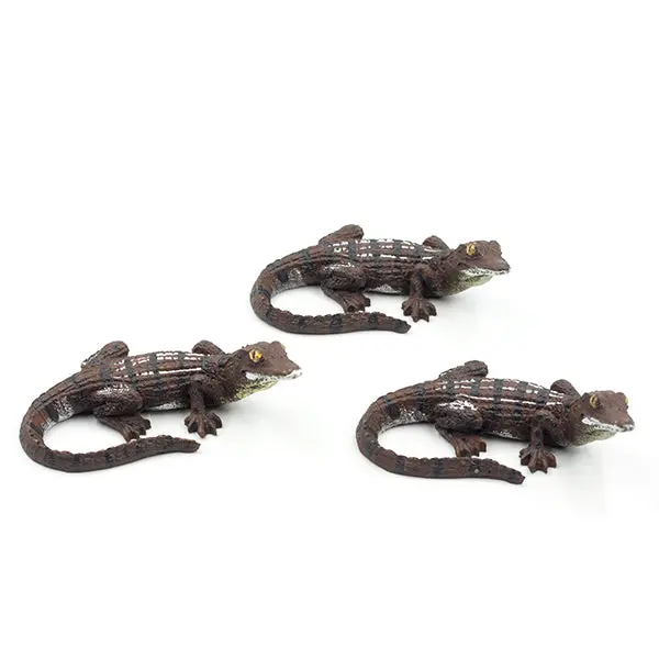 Medium Alligator
