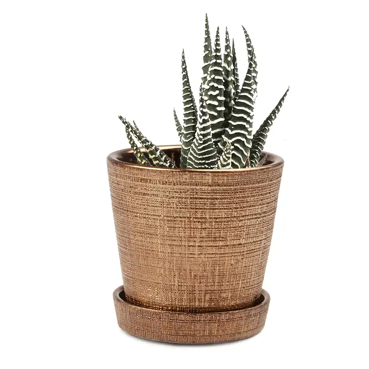 Mick Planter Pot w/ Drainage