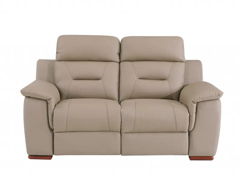 Modern Beige Leather Loveseat By Homeroots
