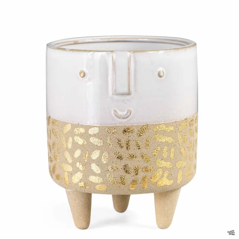 Modernist Face Planter