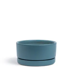 Momma Pots Low Bowl w/Saucer
