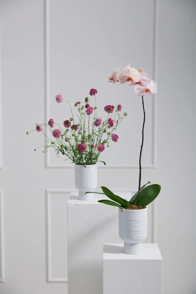 Monaco Vase Set of 4 By Accent Decor