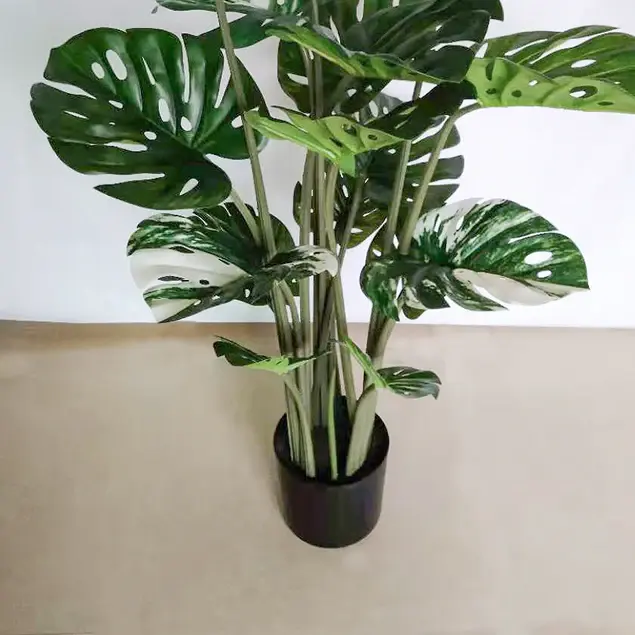 Monstera 48"H, potted By Gold Leaf Design Group