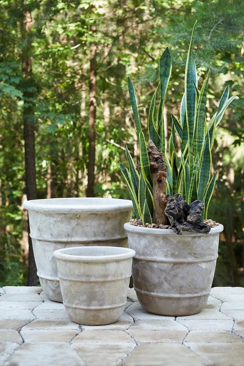 Monteclair Planter By Accent Decor