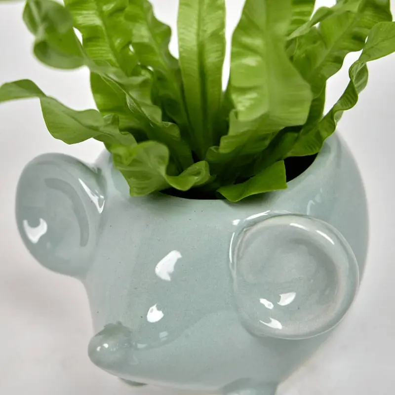 Mouse Succulent Pot 3"