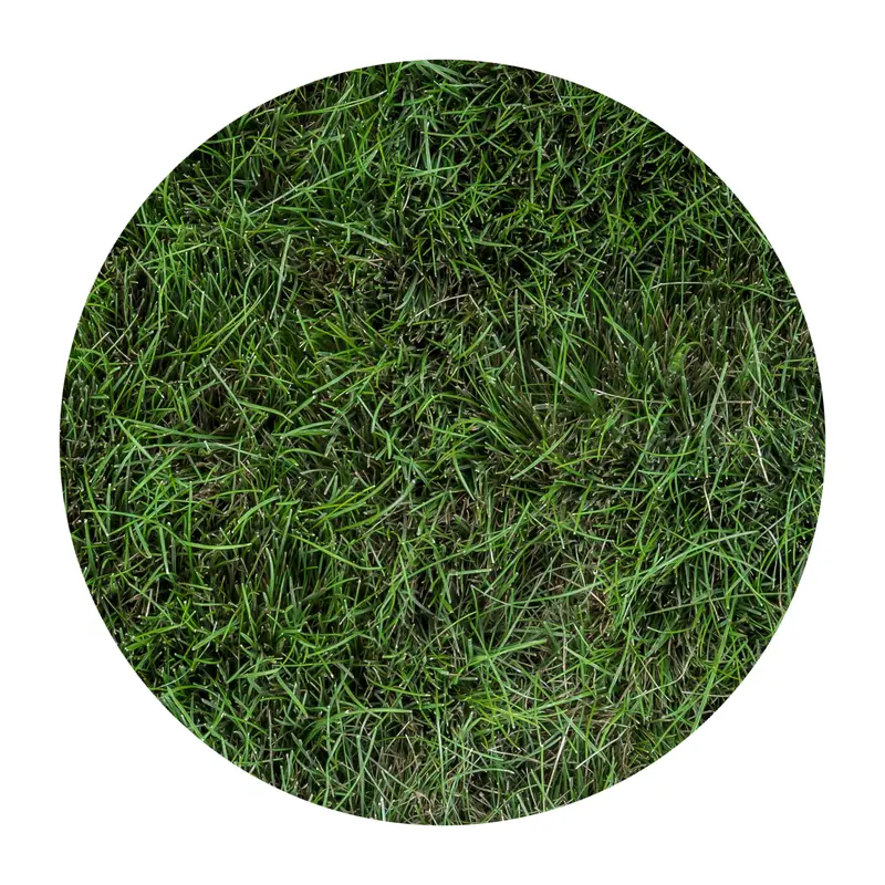 Mow Free