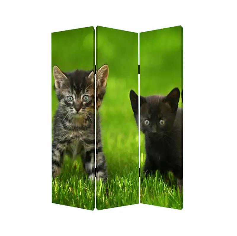 Multi Color Wood Canvas Curious Cat Screen By Homeroots