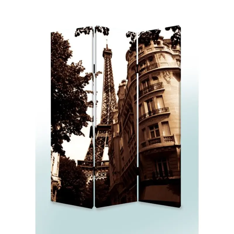Multi Color Wood Canvas Paris Screen By Homeroots