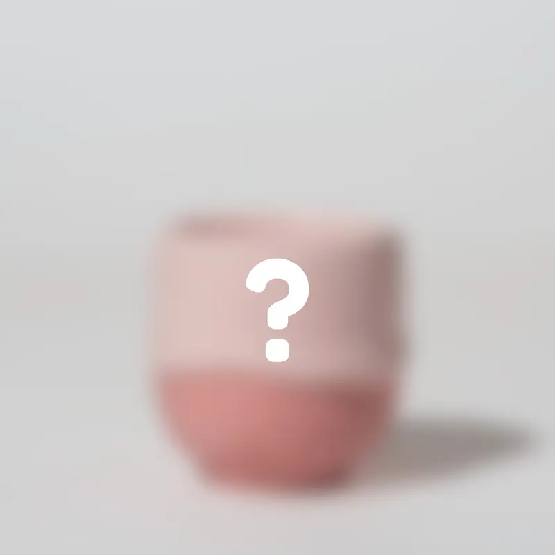 Mystery Espresso Cup 2nd