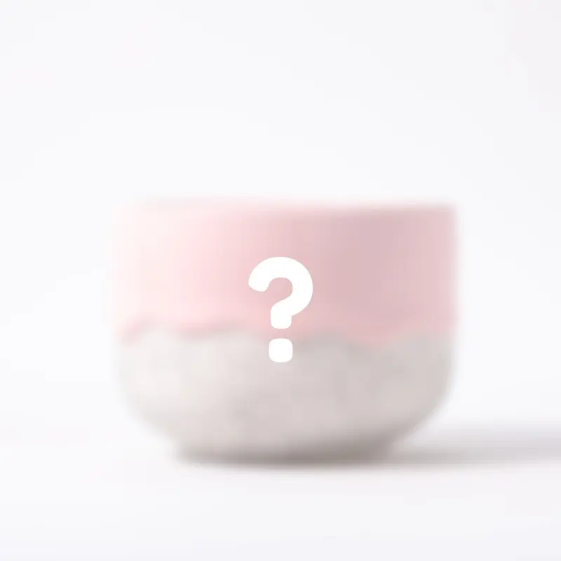 Mystery Noodle 2nd