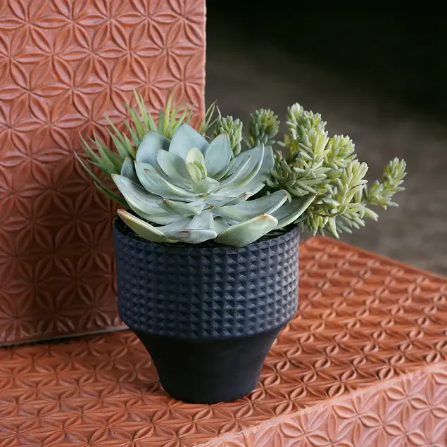 Nama Succulent Mix w/Grapto By Gold Leaf Design Group