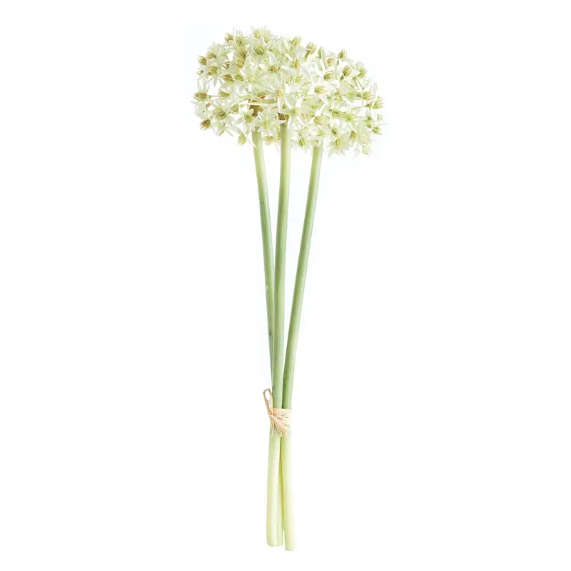 NAPA Home & Garden, Allium Stems, Bundle of 3