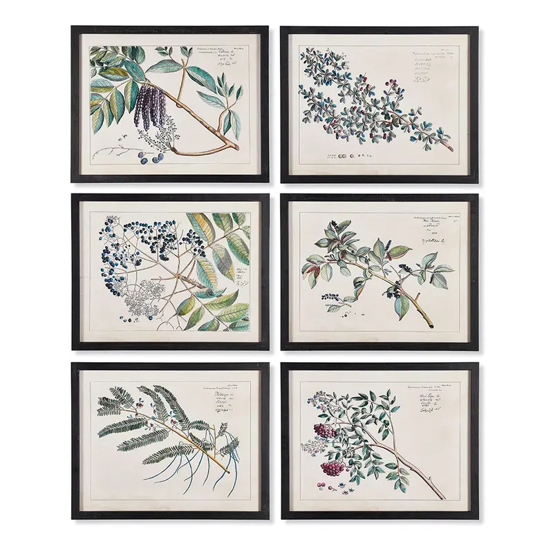 NAPA Home & Garden, BERRY BRANCH BOTANICAL STUDY, SET OF 6,NH200