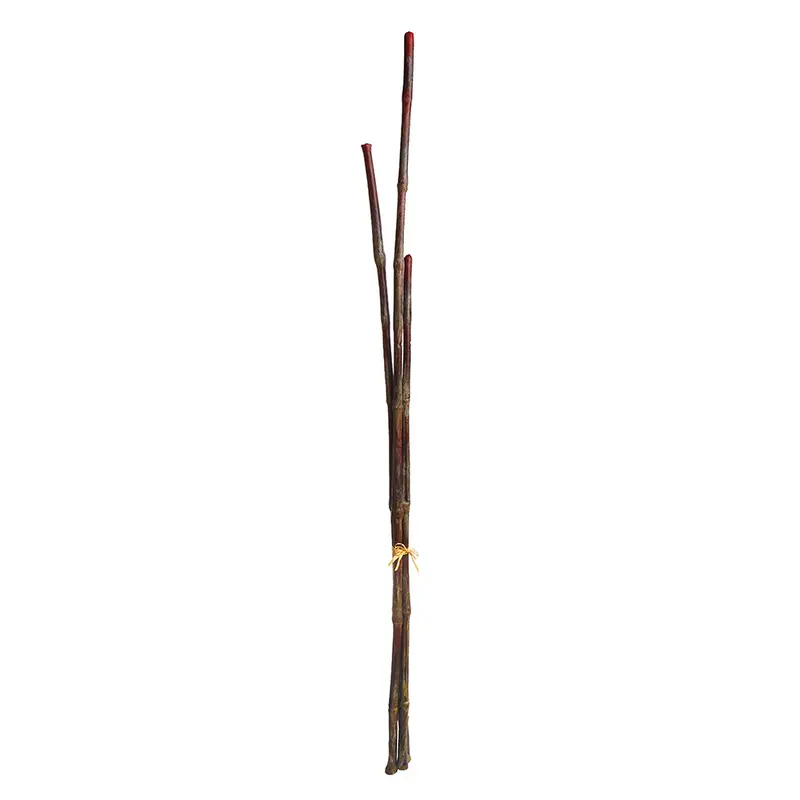 NAPA Home & Garden, BLACK BAMBOO 58" , BUNDLE OF 3,CC240
