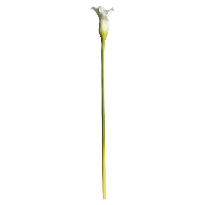 Napa Home Garden, CALLA LILY 30" STEM WHITE,tp232
