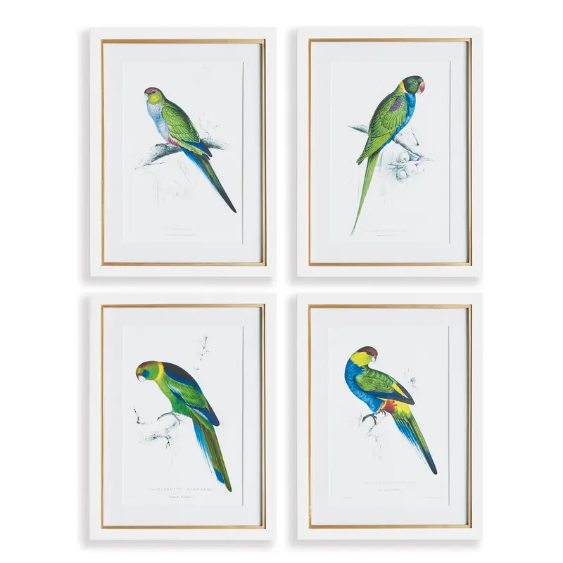 NAPA Home & Garden, COLORFUL PARROT PRINTS, SET OF 4,N3NH45