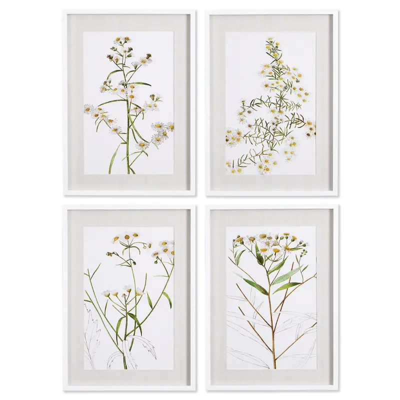NAPA Home & Garden, DAISY PRINTS, SET OF 4,NNH522