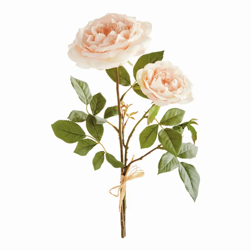 NAPA Home & Garden, English Rose Bundle