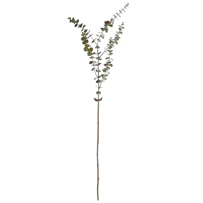 NAPA Home & Garden, EUCALYPTUS BRANCH 44",GP274GR