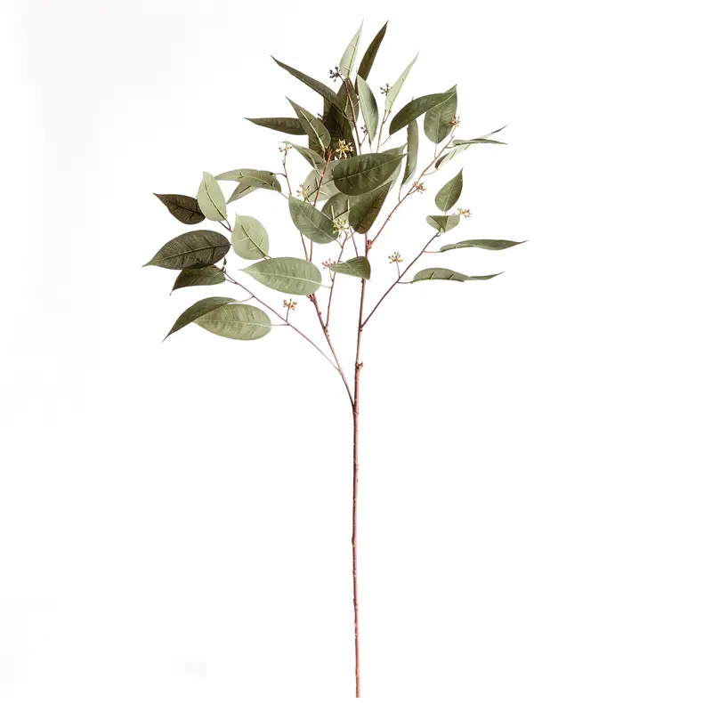 NAPA Home & Garden, EUCALYPTUS SEED STEM 41",N3GP14