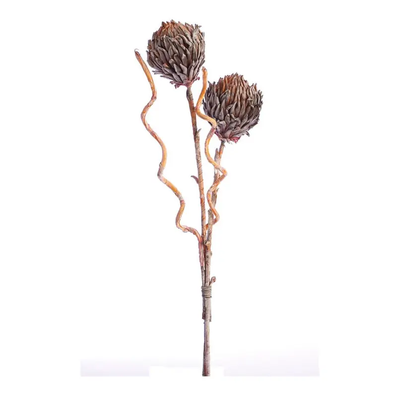 Napa Home Garden, FF DRIED SIERRA,ff0030