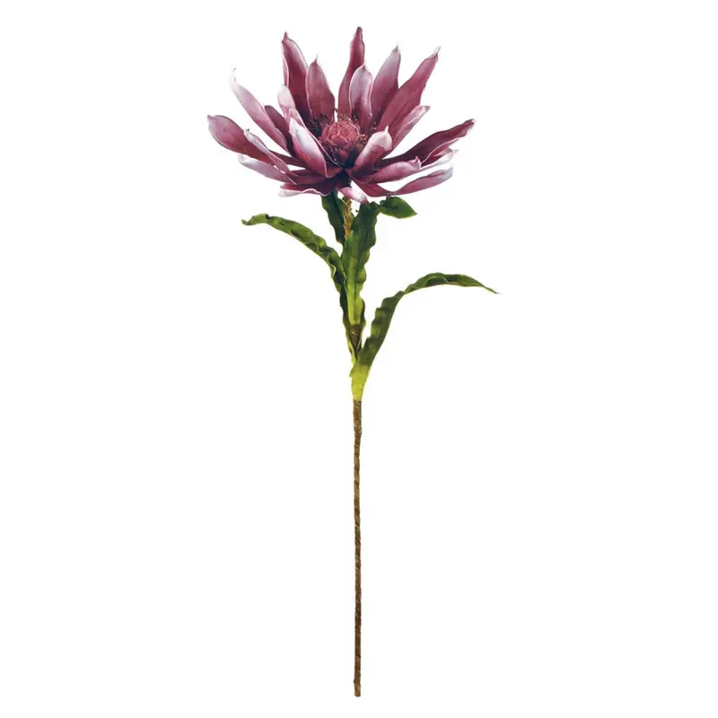 Napa Home Garden, FF PRIMADONNA,ff0132