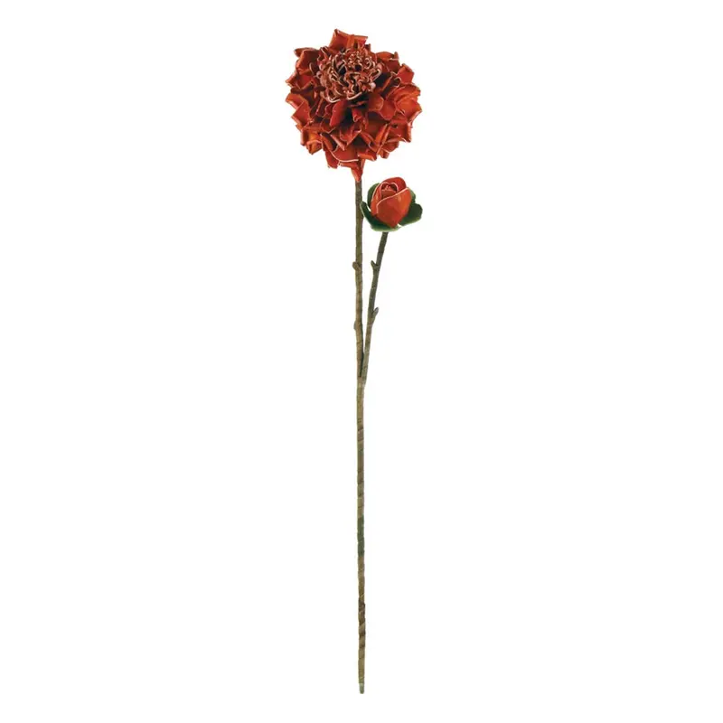 Napa Home Garden, FF ROSIE POSIE,ff0141
