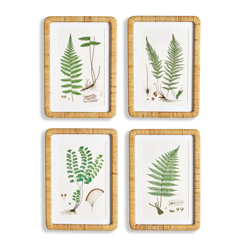 NAPA Home & Garden, FOREST FERN PRINTS, SET OF 4,N2NH15
