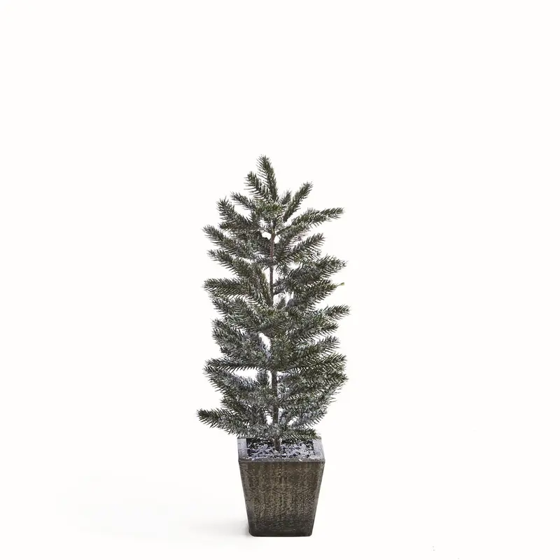NAPA Home & Garden, FROSTED PINE SAPLING IN WOOD POT 20.5"H,Z5139FR
