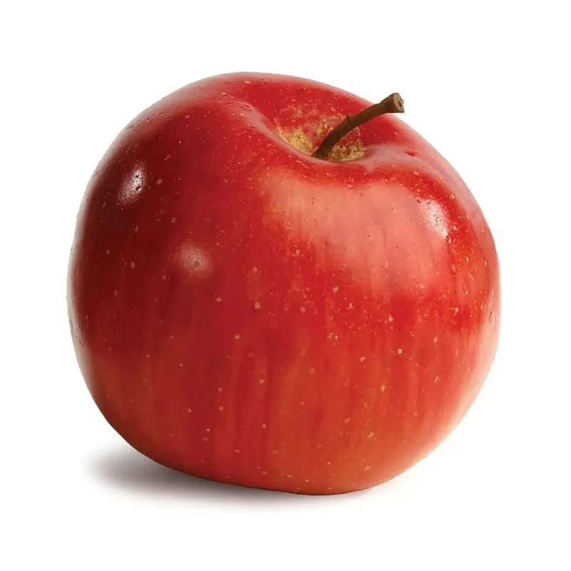 Napa Home Garden, GALA APPLE 3.25",w1003r