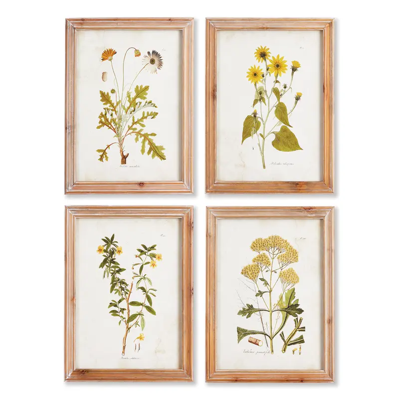 NAPA Home & Garden, GOLDEN WILDFLOWER STUDY, SET OF 4,NNH502