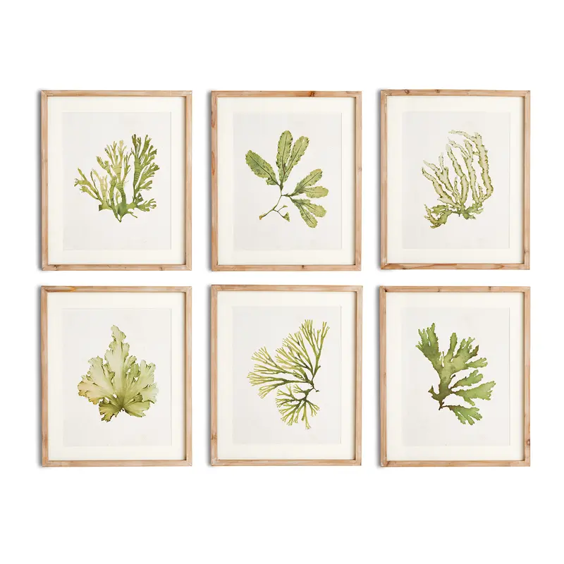 NAPA Home & Garden, KELP PRINTS, SET OF 6,N2NH09