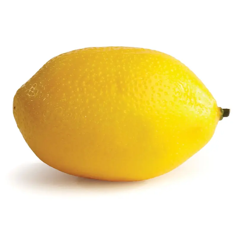 Napa Home Garden, LEMON 2.25",w1004