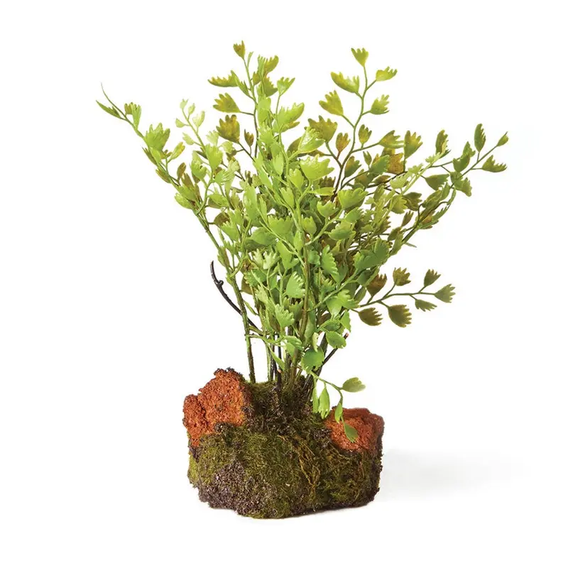 Napa Home Garden, MAIDENHAIR 7" DROP-IN,di3006