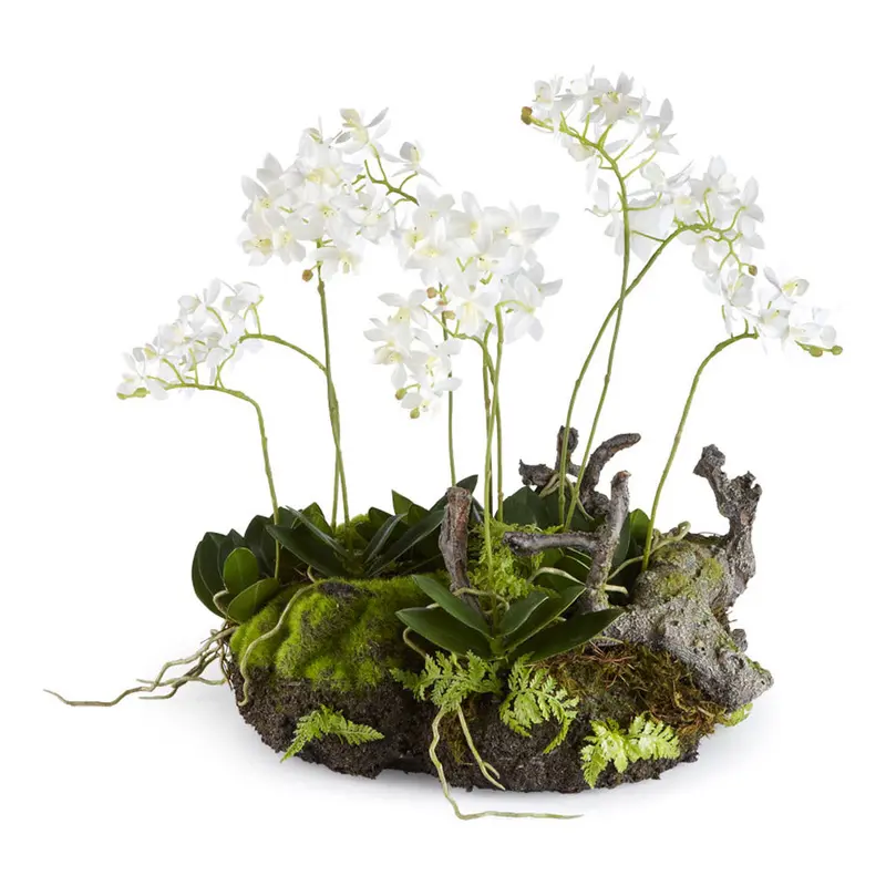 NAPA Home & Garden, MINI DENDROBIUM WITH RUSTIC DROP-IN
