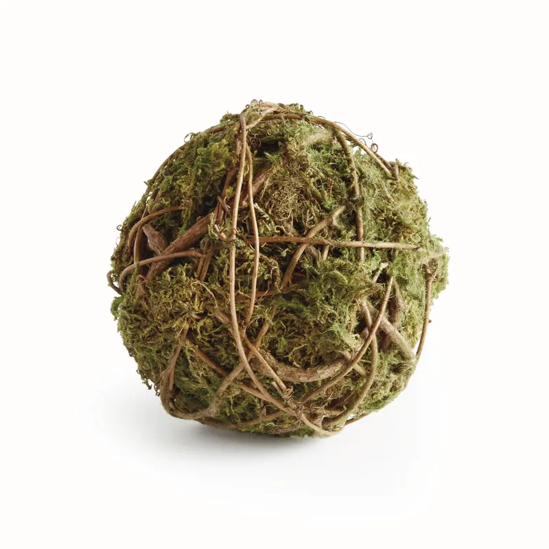 NAPA Home & Garden, MOSSY VINE ORB 6",N4CC05