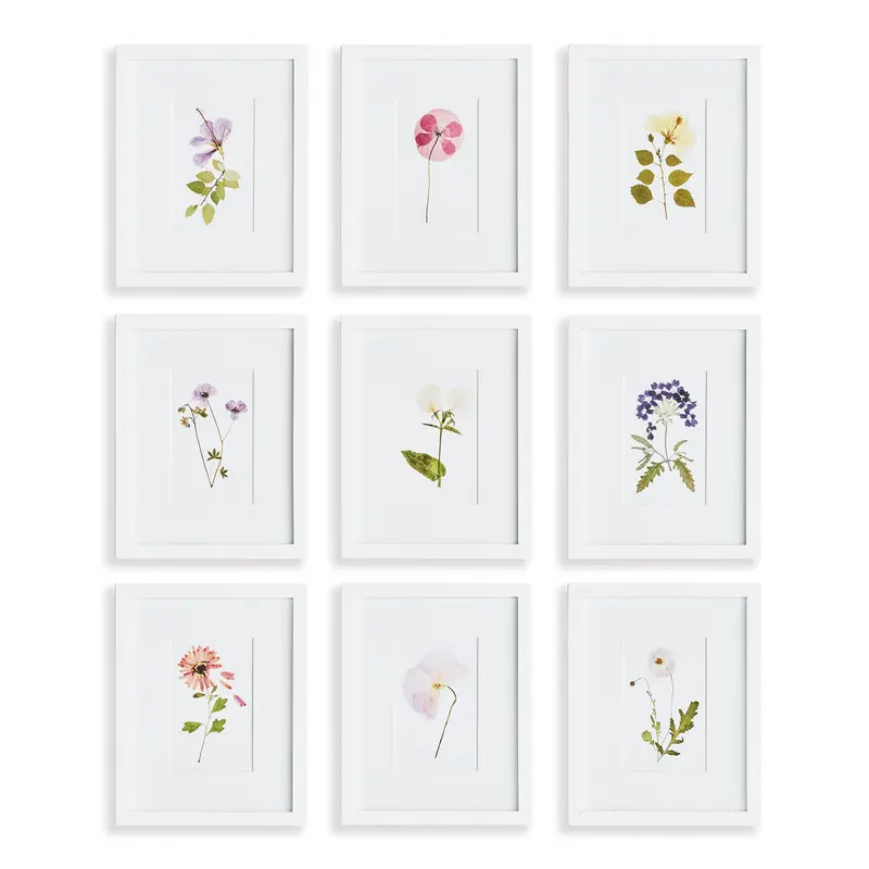 NAPA Home & Garden, MOUNTAIN FLOWER PETITE PRINTS, SET OF 9,N3NH54
