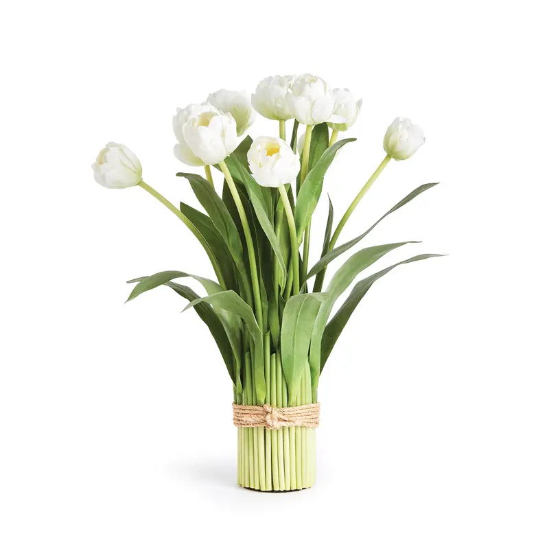 NAPA Home & Garden, Peony Tulip Drop-In Bundle