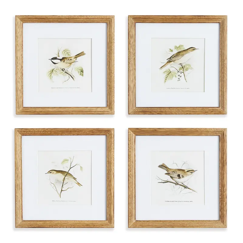 NAPA Home & Garden, PERCHING BIRD STUDY PETITE, SET OF 4,NNH539