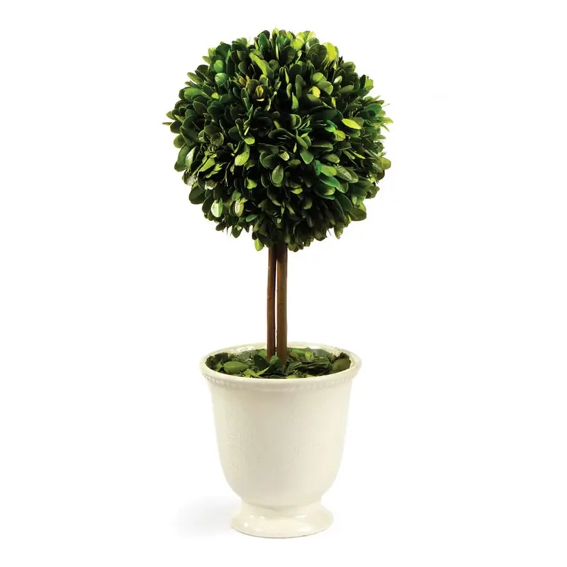 Napa Home Garden, PG TOPIARY IN BEADED WHITE POT,7578pg