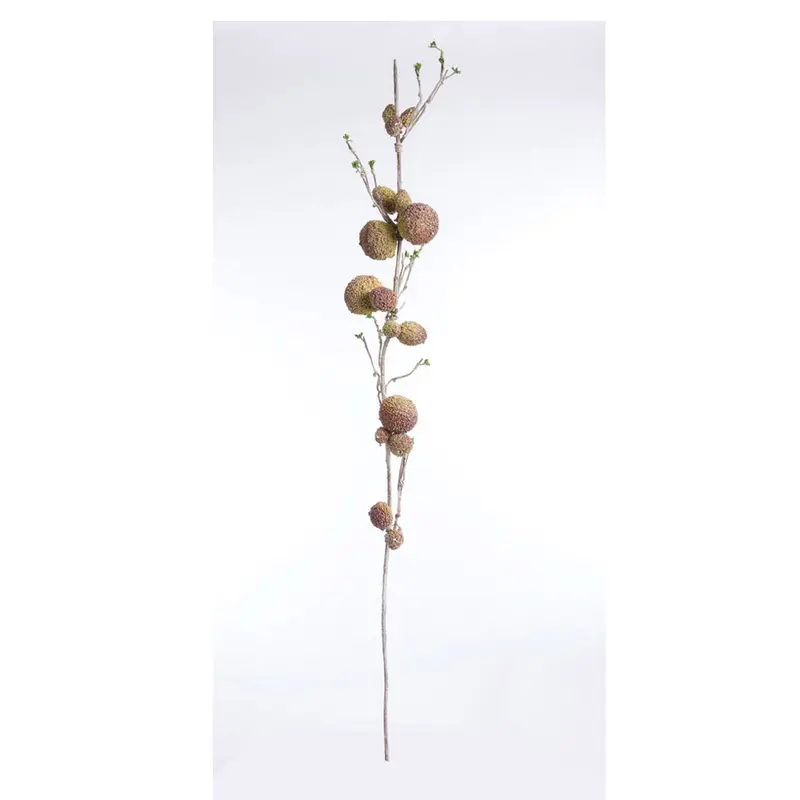 NAPA Home & Garden, SALAK BRANCH,FF0090