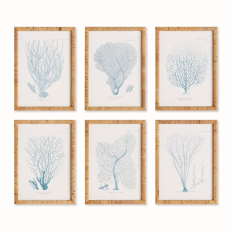 NAPA Home & Garden, SEA FAN AND CORAL STUDY IN BLUE, SET OF 6,N4NH23