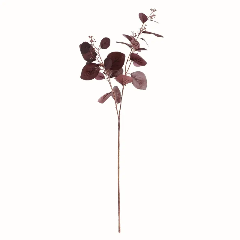 NAPA Home & Garden, Silver Dollar Eucalyptus Branch