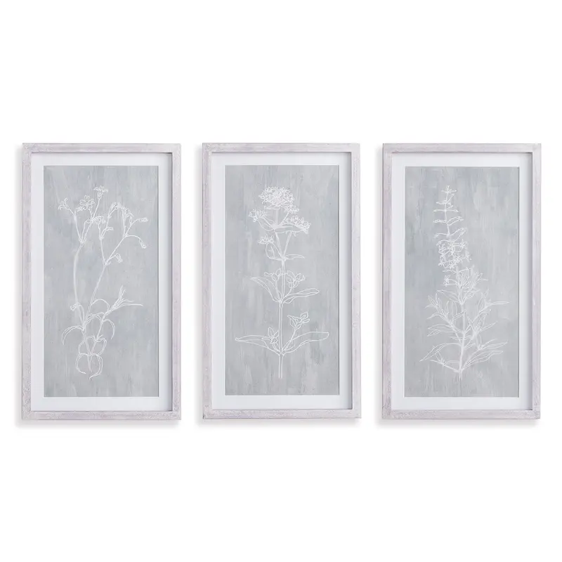 NAPA Home & Garden, SKETCHED BOTANICAL PRINTS, SET OF 3,N2NH18