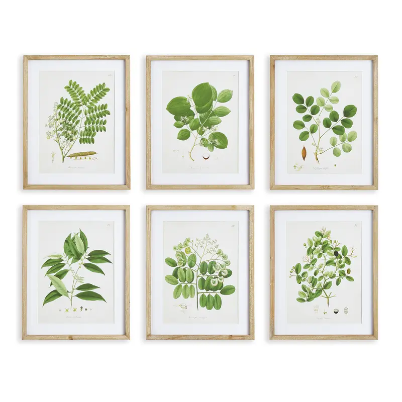 NAPA Home & Garden, TREE LEAF STUDY, SET OF 6,NNH549